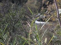 cantara gurne23122011 134